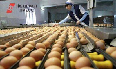 В Липецкой области стали производить больше яиц