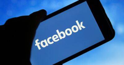 Facebook и Instagram введут платную подписку для некоторых пользователей, — СМИ