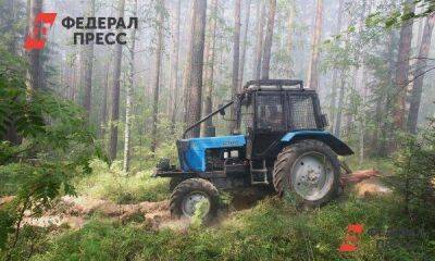 Красноярские лесничества получат миллионы на спецтехнику
