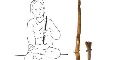 Самым древним струнным инструментом Юго-Восточной Азии может быть 2000-летний рог