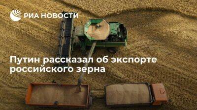 Путин: Россия в 2022-2023 сельхозгоду экспортирует от 55 до 60 миллионов тонн зерна