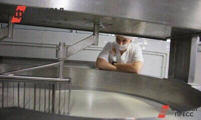 Тюменские производители молочной продукции просят субсидии на закуп сырья