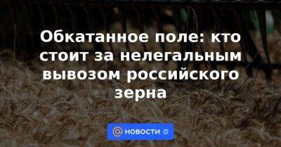 Обкатанное поле: кто стоит за нелегальным вывозом российского зерна