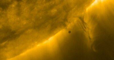 Маленькая песчинка. Космический аппарат ЕКА запечатлел движение Меркурия на фоне Солнца (видео) - focus.ua - Украина - Меркурий