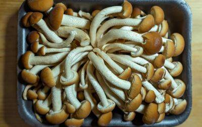 В Одессе молодая девушка отравилась грибами