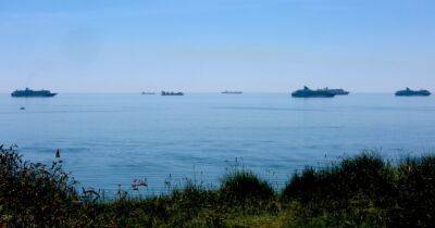 Румыния обеспокоена углублением Украиной устья Дуная: в Киеве не видят проблемы, — Reuters