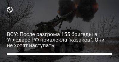 ВСУ: После разгрома 155 бригады в Угледаре РФ привлекла "казаков". Они не хотят наступать