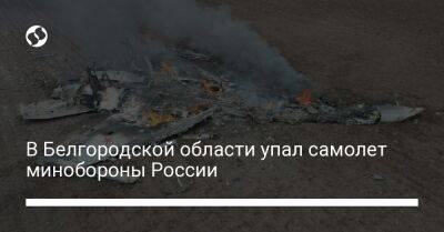 В Белгородской области упал самолет минобороны России