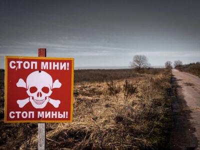Польская полиция провела секретную операцию по разминированию в Украине