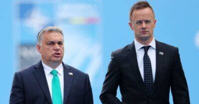 МИД Украины перенаправил "миротворческую миссию" Венгрии в Словакию, где Орбана недавно послали на х*й