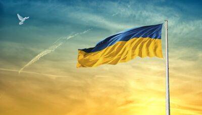 Годовщина войны в Украине - Минобороны назвало 10 главных побед