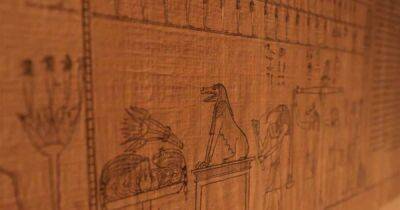 16-метровый папирус. В Египте завершили реставрацию свитка с заклинаниями из Книги мертвых - focus.ua - Украина - Египет - Каир - Мемфис - Находка