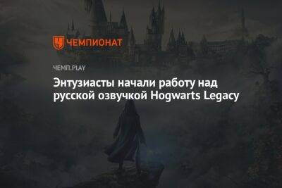Энтузиасты начали работу над русской озвучкой Hogwarts Legacy