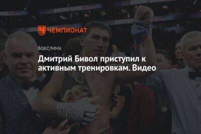 Дмитрий Бивол - Рамирес Хильберто - Дмитрий Бивол приступил к активным тренировкам. Видео - championat.com - Мексика - Эмираты - Абу-Даби