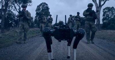 Солдаты смогли управлять робо-псами при помощи телепатии: как это удалось (видео)