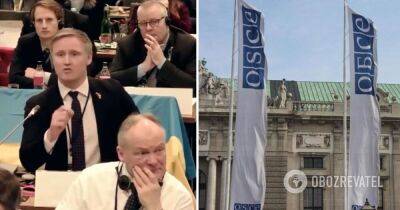 Рихард Колс – латвийский депутат послал делегацию РФ на парламентской ассамблее ОБСЕ в Вене вслед за российским кораблем – видео