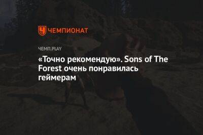 «Точно рекомендую». Sons of The Forest очень понравилась геймерам