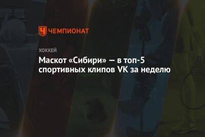 Маскот «Сибири» — в топ-5 спортивных клипов VK за неделю