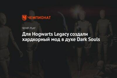 Для Hogwarts Legacy создали хардкорный мод в духе Dark Souls