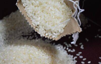 В Украине обнаружен токсичный рис