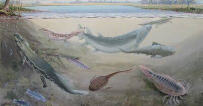 Археологи нашли останки гигантской рыбы, охотившейся на предков человека - focus.ua - США - Украина - Швеция - Юар - шт.Пенсильвания - Находка