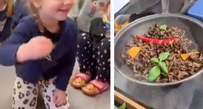 Скандал в частном детском саду: в сети показали видео, как воспитатели кормят малышей тараканами - politeka.net - Украина - Польша