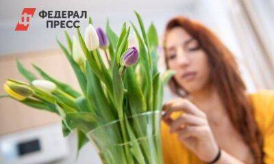 Россиянки останутся без голландских тюльпанов на 8 Марта