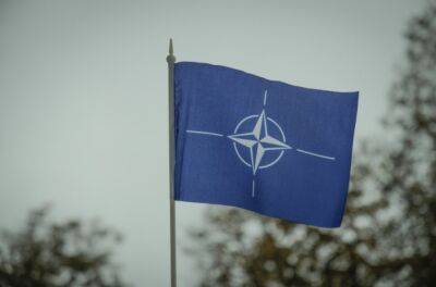 В ФРГ призвали распустить НАТО - «Общество»