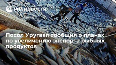 Посол Уругвая Кастильос сообщил о планах по увеличению поставок рыбных продуктов в Россию