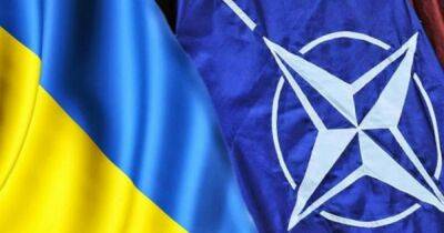 WSJ: НАТО предлагает Украине "сближение" вместо вступления, чтобы поощрить переговоры с РФ. ISW раскритиковал идею