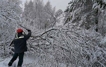 Снегопад с ветром оставили Витебскую область без электричества