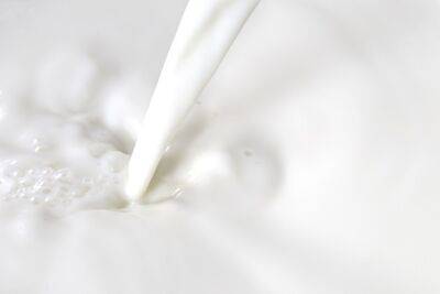 Фермеры Литвы заявили о необходимости €40 млн преодоление кризиса молочного сектора
