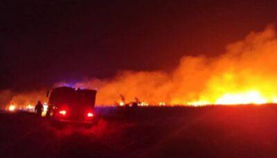 Украинец сжег 15 гектаров леса и поплатился за это: подробности произошедшего