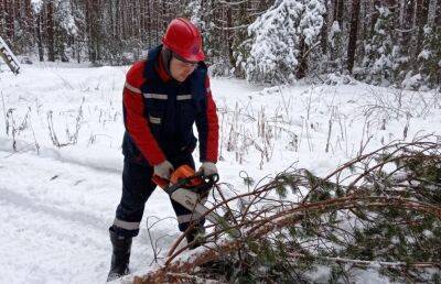 Восстановлено электроснабжение 75% потребителей после снегопада в Тверской области