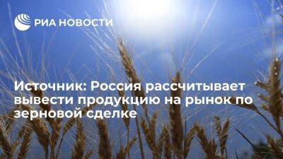 Россия рассчитывает на выход на рынки своей продукции на переговорах по зерновой сделке