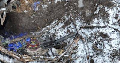 БПЛА уничтожил российскую антидроновую пушку ЛПД-801: оккупанты остались беззащитными
