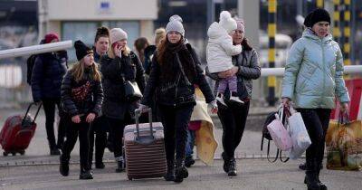 Мы их теряем. Названо количество беженцев из Украины, которые не вернутся домой - focus.ua - Россия - Украина - Польша - Чехия