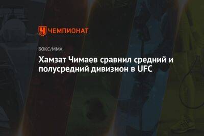 Хамзат Чимаев сравнил средний и полусредний дивизион в UFC
