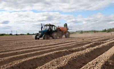 Малые сельхозпредприятия Тверской области получат субсидии на покупку семян, удобрений и проведение агротехнологических работ