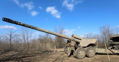 "Не новая, но эффективная": бойцы ВСУ показали работу "Гианцита" в Херсонской области (фото)