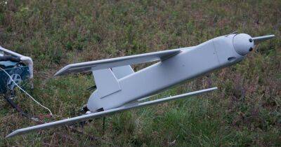 Эксперт раскрыл, сможет ли Украина наладить серийное производство ударных дронов
