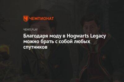 Благодаря моду в Hogwarts Legacy можно брать с собой любых спутников