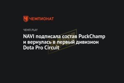 NAVI подписала состав PuckChamp и вернулась в первый дивизион Dota Pro Circuit