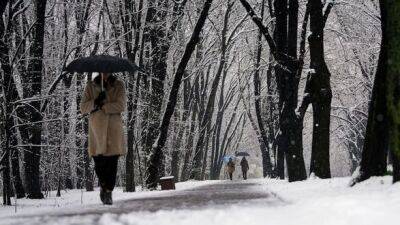 Сотни людей провели ночь на дорогах Хорватии из-за снежной бури