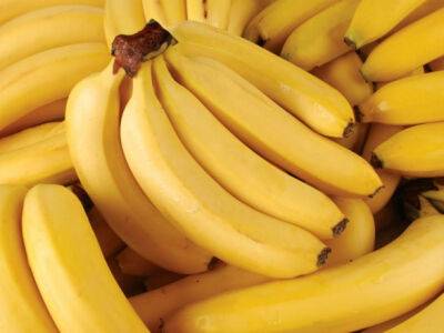 В грузе бананов из Эквадора нашли кокаин на 330 млн долларов