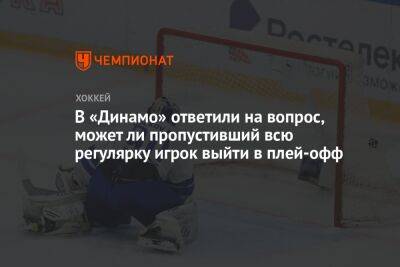 В «Динамо» ответили на вопрос, может ли пропустивший всю регулярку игрок выйти в плей-офф