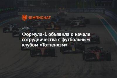 Стефано Доменикали - Формула-1 объявила о начале сотрудничества с футбольным клубом «Тоттенхэм» - championat.com