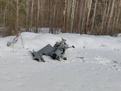 В россии рядом с компрессорной станцией "Газпрома" упал беспилотник