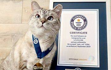 Кошка из США заработала 100 миллионов долларов - charter97.org - США - Англия - Белоруссия