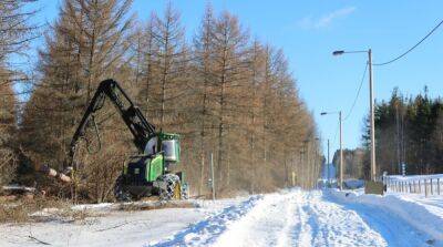 Финляндия начала строить забор на границе с россией